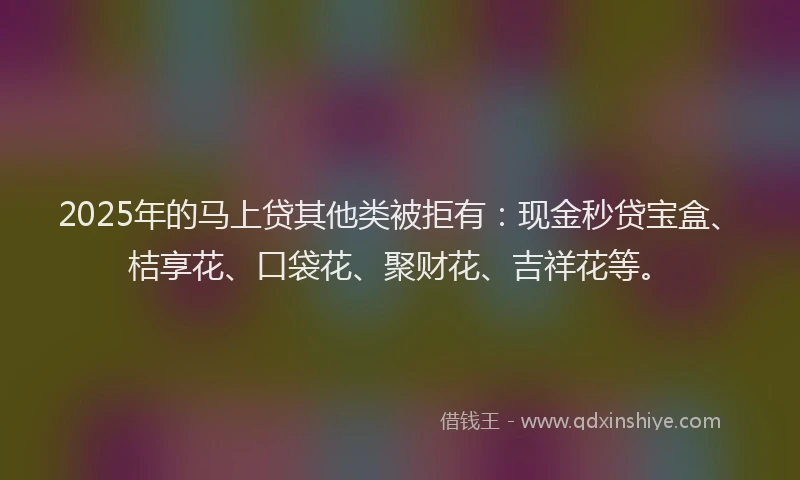 2025年的马上贷其他类被拒有：现金秒贷宝盒、桔享花、口袋花、聚财花、吉祥花等。