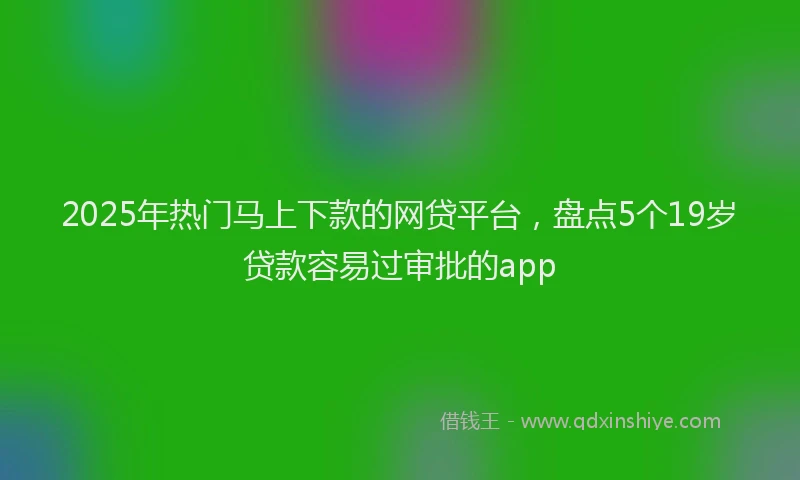 2025年热门马上下款的网贷平台，盘点5个19岁贷款容易过审批的app