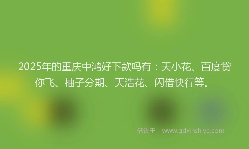 2025年的重庆中鸿好下款吗有：天小花、百度贷你飞、柚子分期、天浩花、闪借快行等。