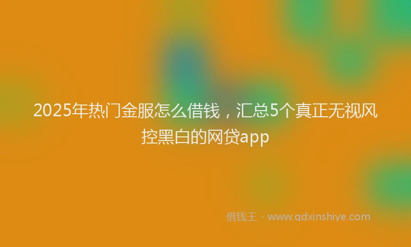 2025年热门金服怎么借钱，汇总5个真正无视风控黑白的网贷app