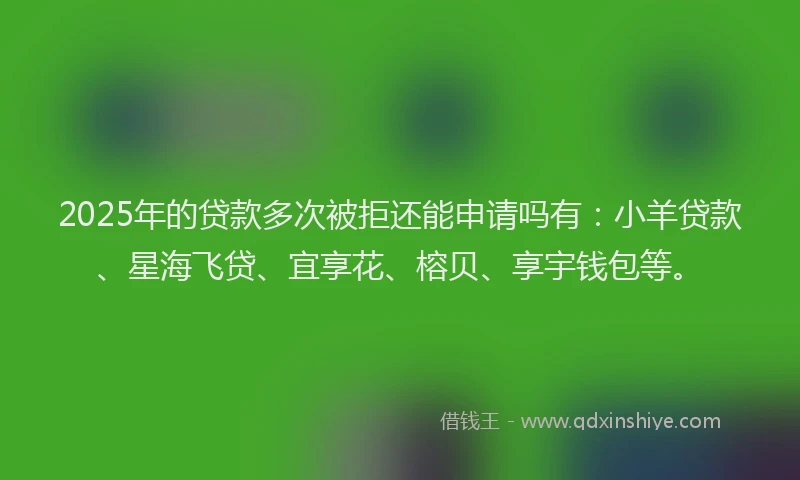 2025年的贷款多次被拒还能申请吗有：小羊贷款、星海飞贷、宜享花、榕贝、享宇钱包等。