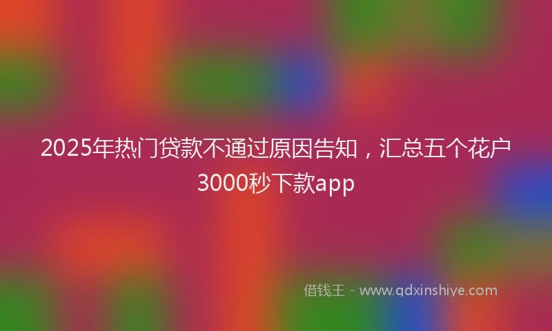 2025年热门贷款不通过原因告知，汇总五个花户3000秒下款app