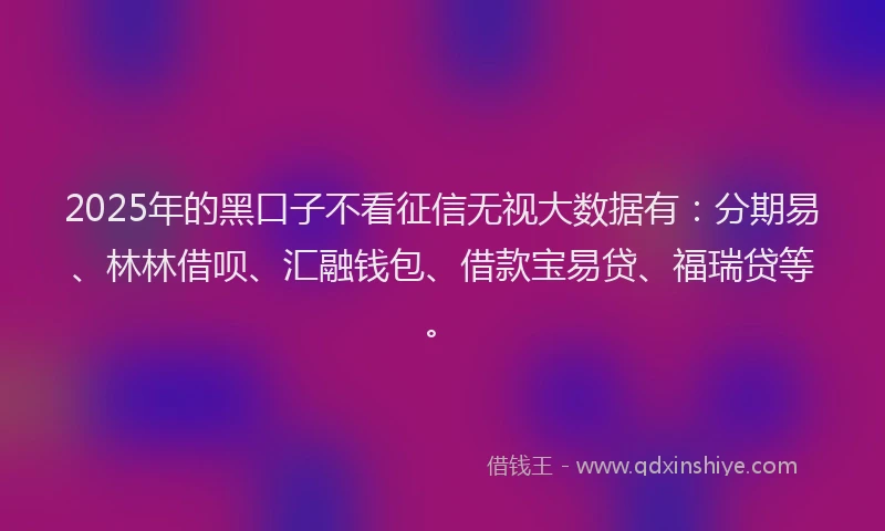 2025年的黑口子不看征信无视大数据有：分期易、林林借呗、汇融钱包、借款宝易贷、福瑞贷等。