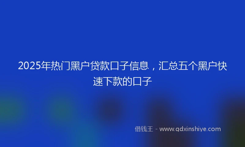 2025年热门黑户贷款口子信息，汇总五个黑户快速下款的口子