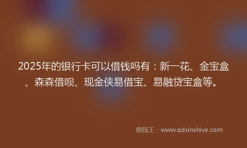 2025年的银行卡可以借钱吗有：新一花、金宝盒、森森借呗、现金侠易借宝、易融贷宝盒等。
