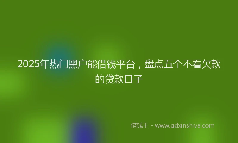 2025年热门黑户能借钱平台，盘点五个不看欠款的贷款口子