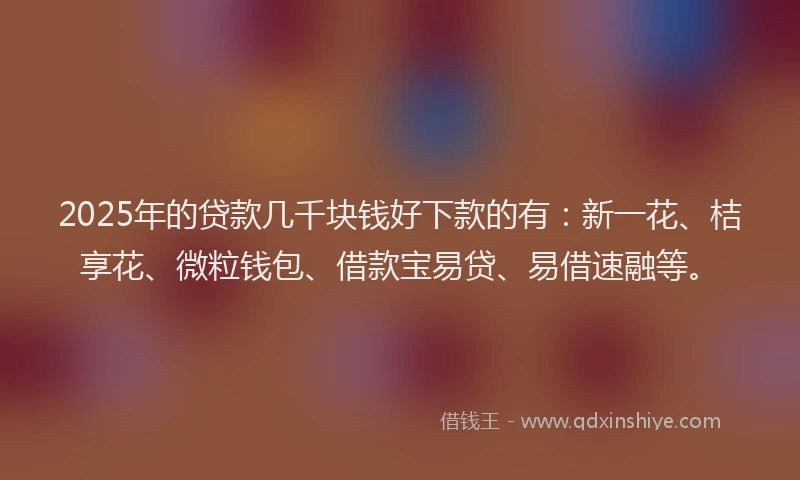 2025年的贷款几千块钱好下款的有：新一花、桔享花、微粒钱包、借款宝易贷、易借速融等。