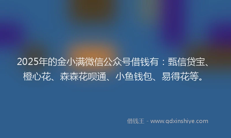 2025年的金小满微信公众号借钱有：甄信贷宝、橙心花、森森花呗通、小鱼钱包、易得花等。