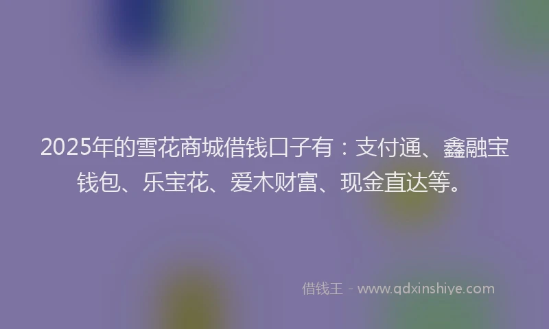 2025年的雪花商城借钱口子有：支付通、鑫融宝钱包、乐宝花、爱木财富、现金直达等。