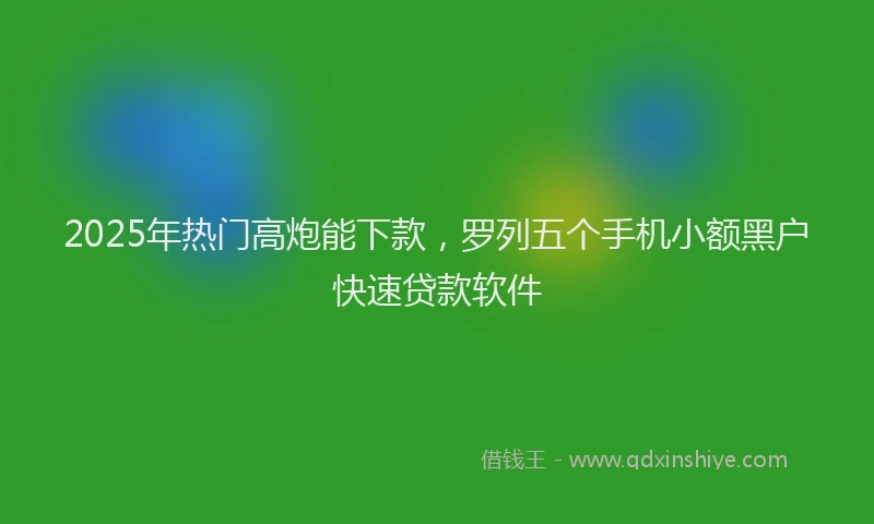 2025年热门高炮能下款，罗列五个手机小额黑户快速贷款软件