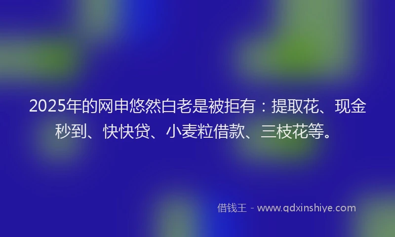 2025年的网申悠然白老是被拒有：提取花、现金秒到、快快贷、小麦粒借款、三枝花等。