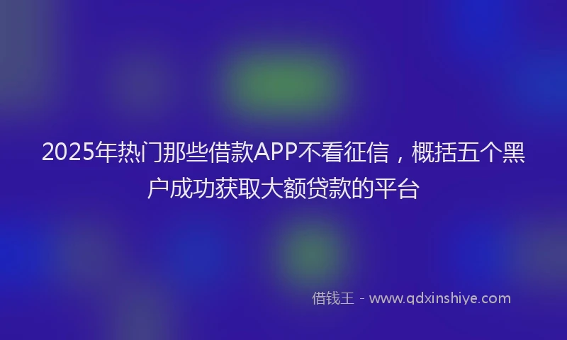 2025年热门那些借款APP不看征信，概括五个黑户成功获取大额贷款的平台