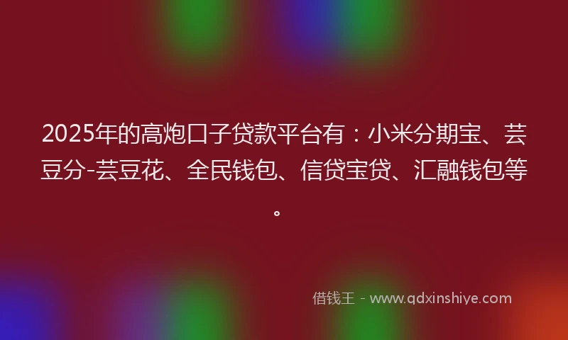 2025年的高炮口子贷款平台有：小米分期宝、芸豆分-芸豆花、全民钱包、信贷宝贷、汇融钱包等。