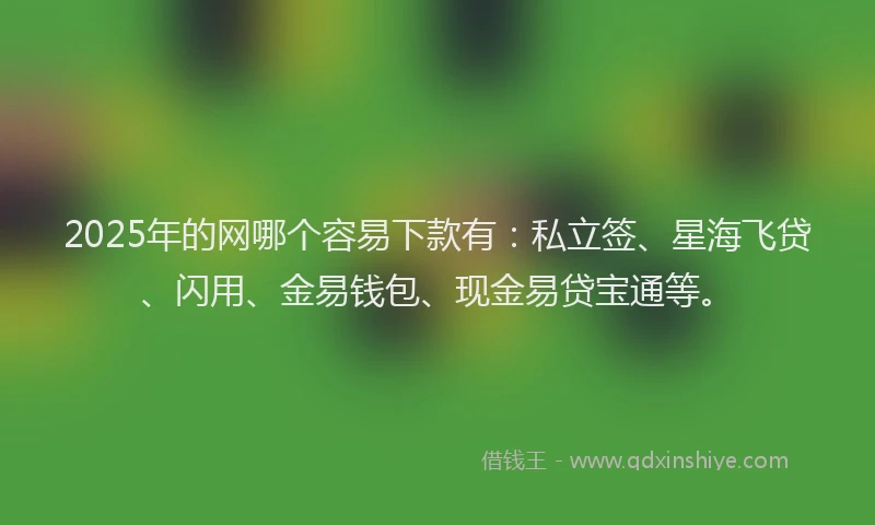 2025年的网哪个容易下款有：私立签、星海飞贷、闪用、金易钱包、现金易贷宝通等。