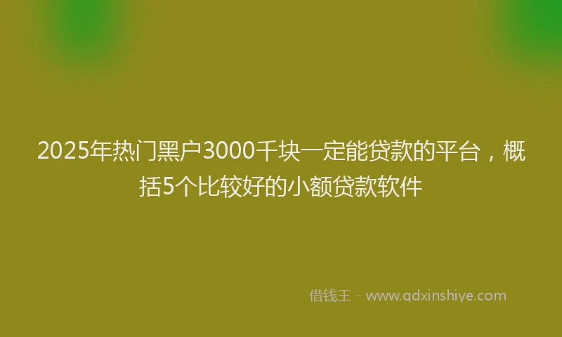 2025年热门黑户3000千块一定能贷款的平台，概括5个比较好的小额贷款软件