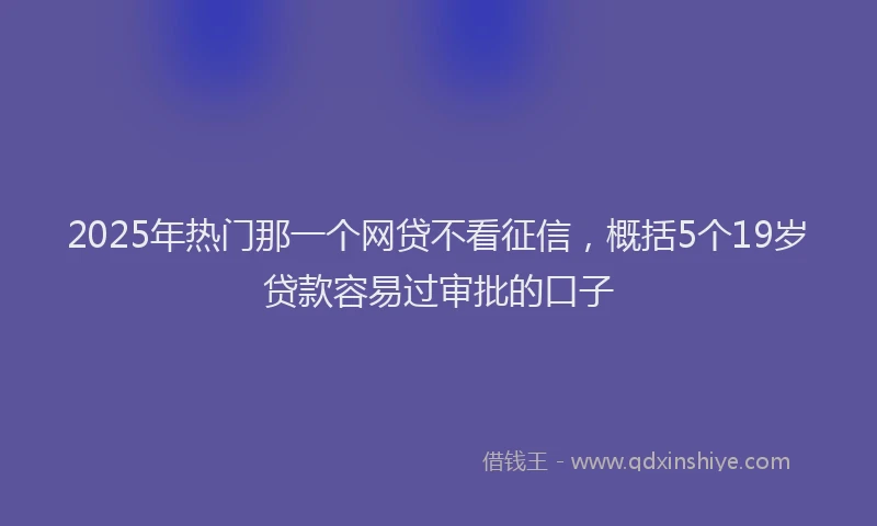 2025年热门那一个网贷不看征信，概括5个19岁贷款容易过审批的口子