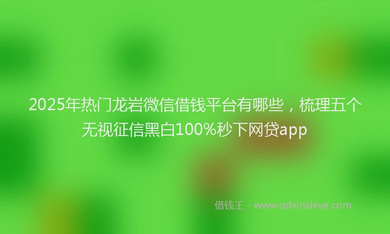 2025年热门龙岩微信借钱平台有哪些，梳理五个无视征信黑白100%秒下网贷app