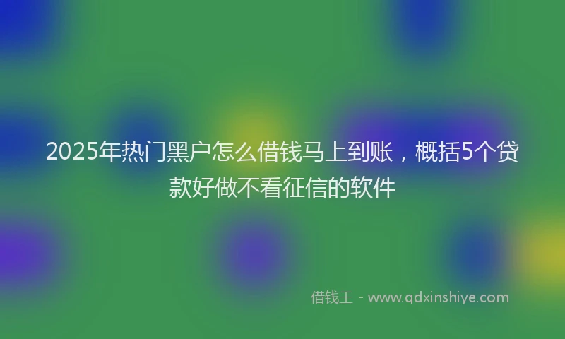 2025年热门黑户怎么借钱马上到账，概括5个贷款好做不看征信的软件