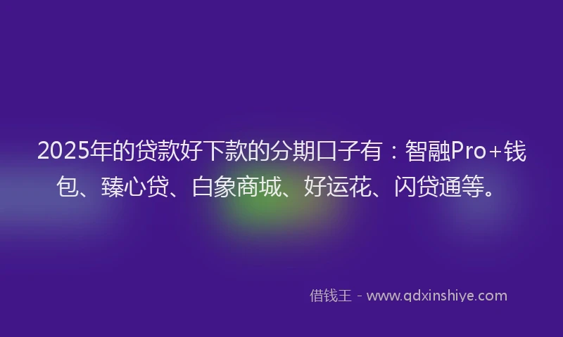 2025年的贷款好下款的分期口子有：智融Pro+钱包、臻心贷、白象商城、好运花、闪贷通等。