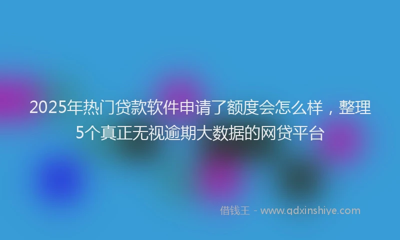 2025年热门贷款软件申请了额度会怎么样，整理5个真正无视逾期大数据的网贷平台