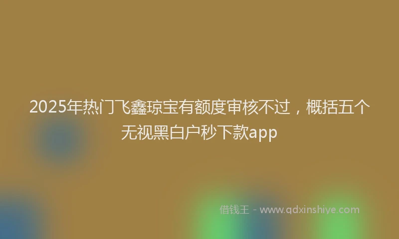 2025年热门飞鑫琼宝有额度审核不过，概括五个无视黑白户秒下款app
