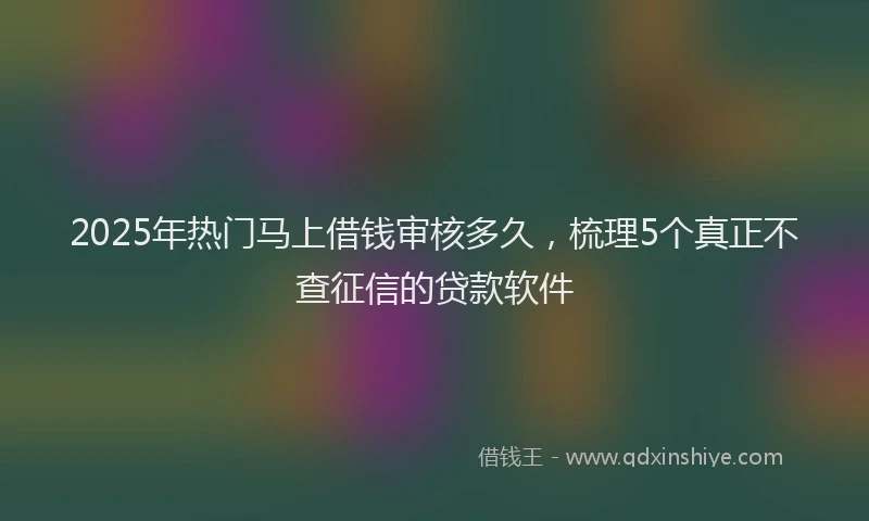 2025年热门马上借钱审核多久，梳理5个真正不查征信的贷款软件