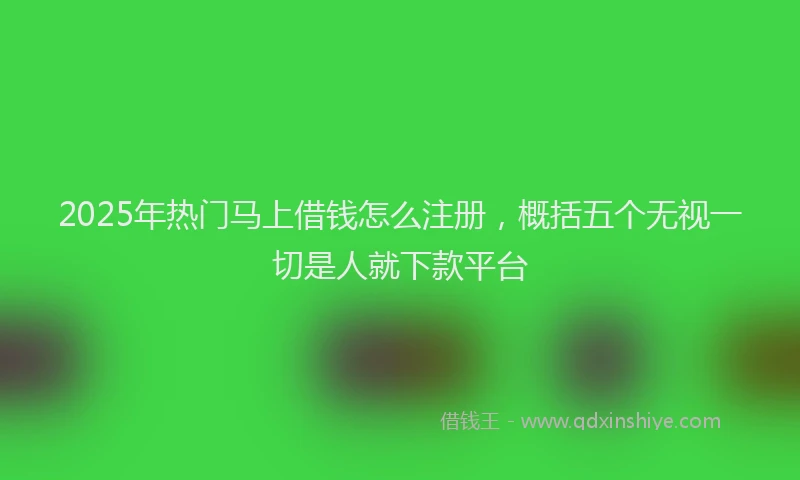 2025年热门马上借钱怎么注册，概括五个无视一切是人就下款平台