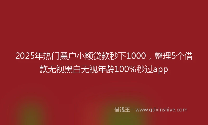 2025年热门黑户小额贷款秒下1000，整理5个借款无视黑白无视年龄100%秒过app
