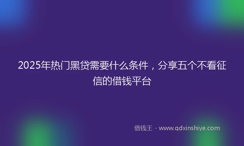 2025年热门黑贷需要什么条件，分享五个不看征信的借钱平台