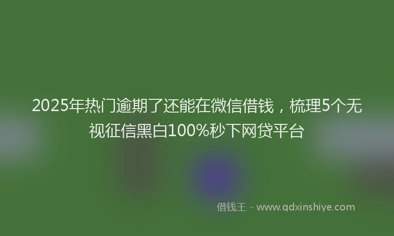 2025年热门逾期了还能在微信借钱，梳理5个无视征信黑白100%秒下网贷平台