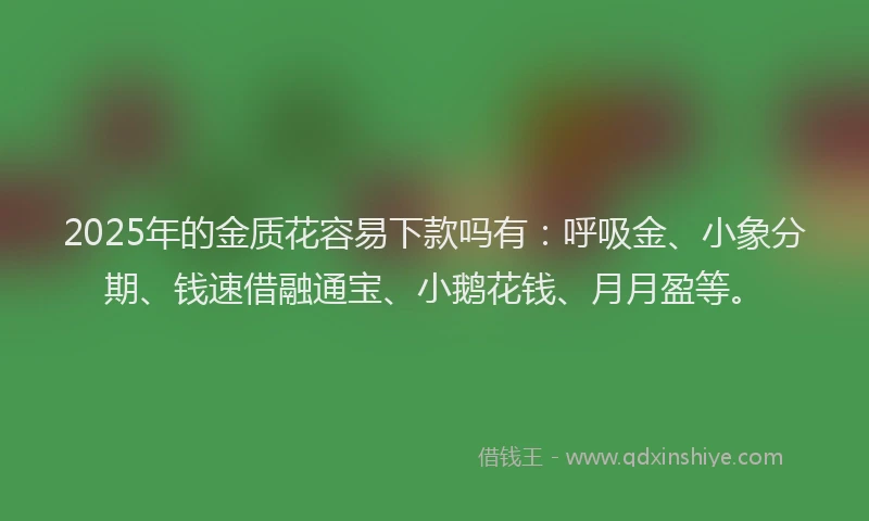 2025年的金质花容易下款吗有：呼吸金、小象分期、钱速借融通宝、小鹅花钱、月月盈等。