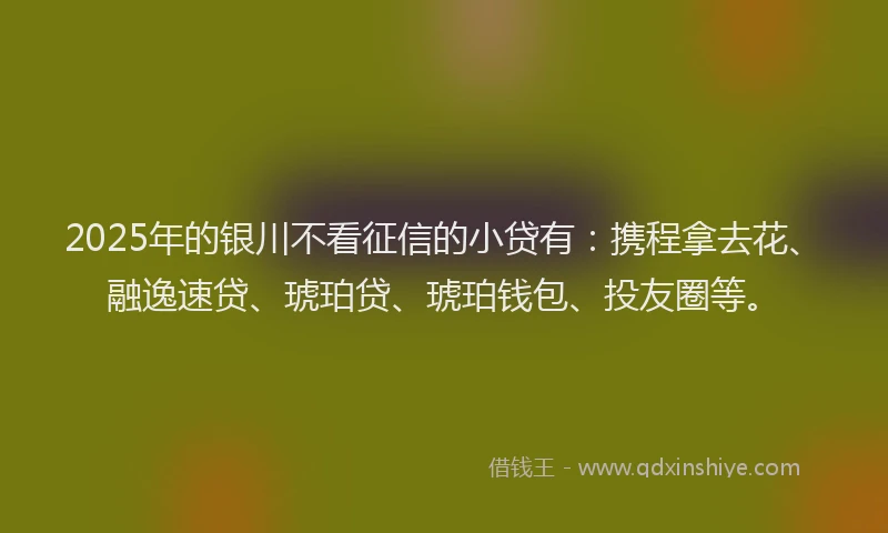 2025年的银川不看征信的小贷有：携程拿去花、融逸速贷、琥珀贷、琥珀钱包、投友圈等。
