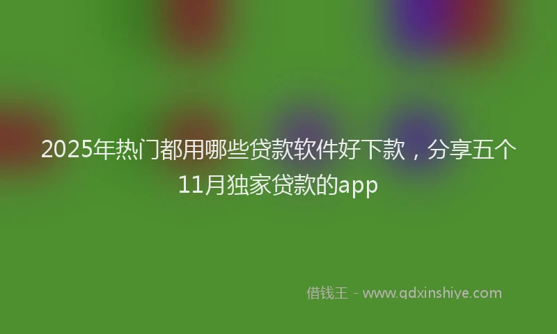 2025年热门都用哪些贷款软件好下款，分享五个11月独家贷款的app