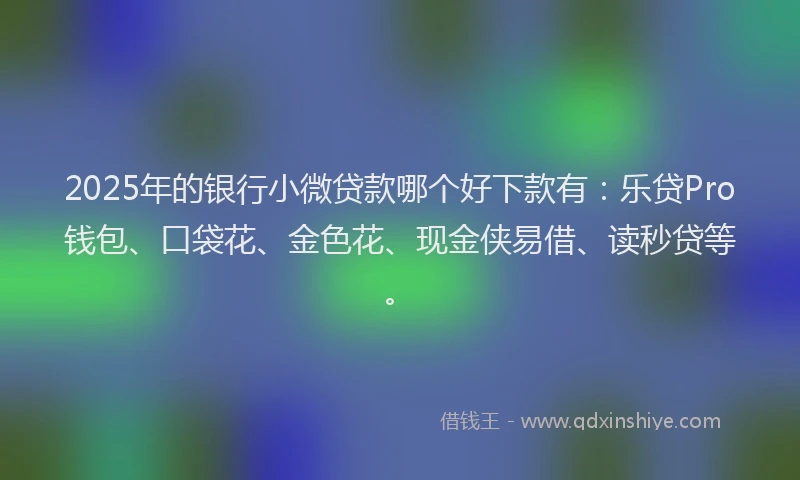2025年的银行小微贷款哪个好下款有：乐贷Pro钱包、口袋花、金色花、现金侠易借、读秒贷等。