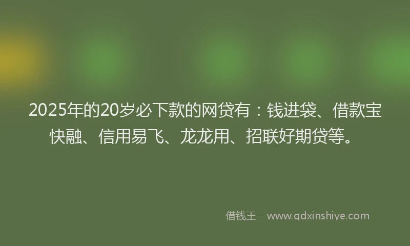 2025年的20岁必下款的网贷有：钱进袋、借款宝快融、信用易飞、龙龙用、招联好期贷等。