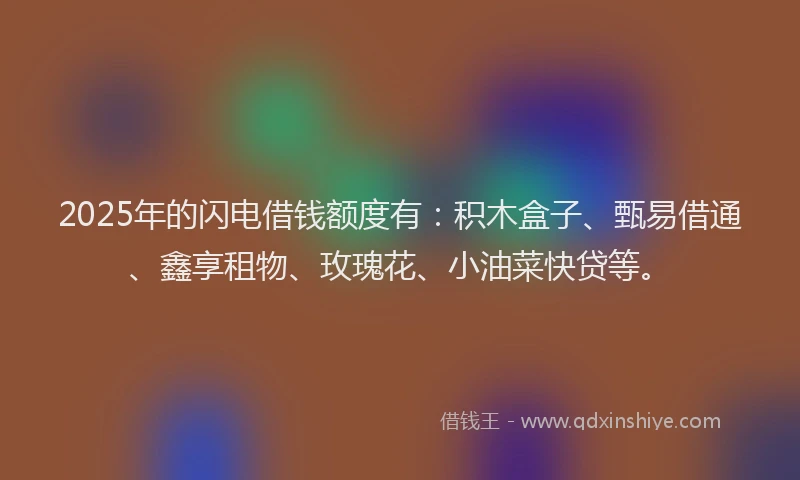 2025年的闪电借钱额度有：积木盒子、甄易借通、鑫享租物、玫瑰花、小油菜快贷等。
