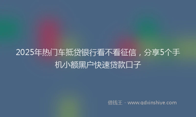 2025年热门车抵贷银行看不看征信，分享5个手机小额黑户快速贷款口子