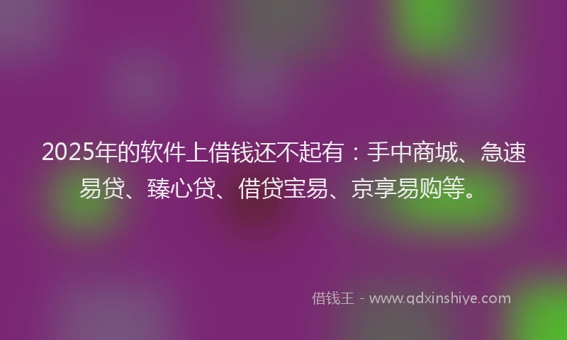 2025年的软件上借钱还不起有：手中商城、急速易贷、臻心贷、借贷宝易、京享易购等。