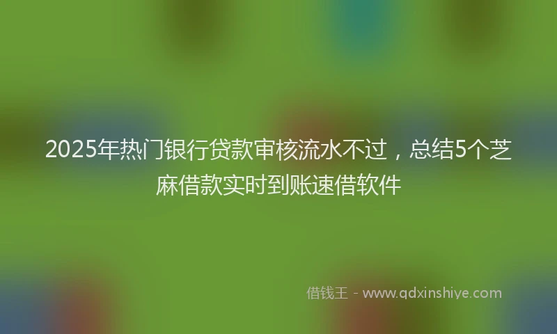 2025年热门银行贷款审核流水不过，总结5个芝麻借款实时到账速借软件