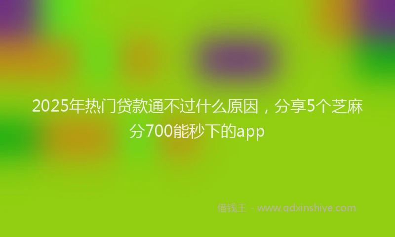 2025年热门贷款通不过什么原因，分享5个芝麻分700能秒下的app