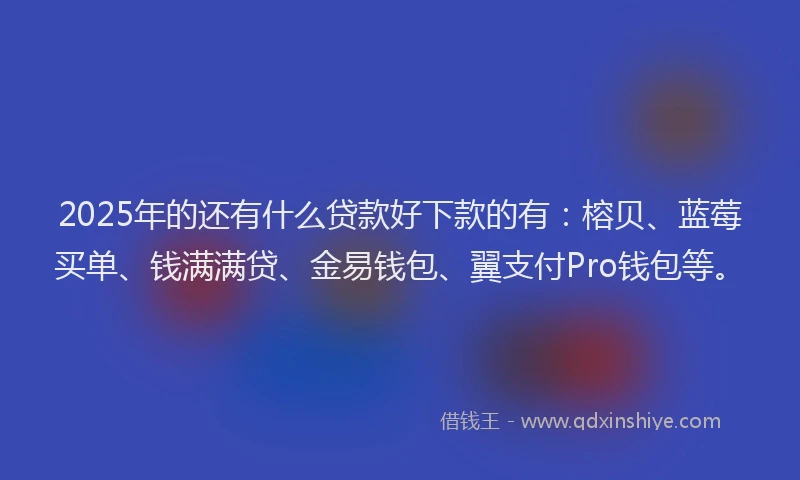 2025年的还有什么贷款好下款的有：榕贝、蓝莓买单、钱满满贷、金易钱包、翼支付Pro钱包等。
