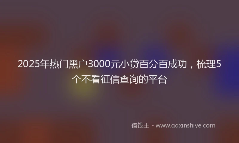 2025年热门黑户3000元小贷百分百成功，梳理5个不看征信查询的平台