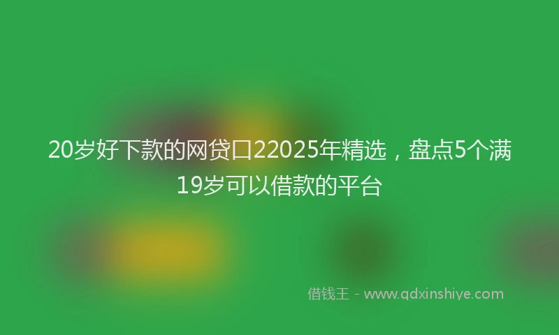20岁好下款的网贷口22025年精选，盘点5个满19岁可以借款的平台