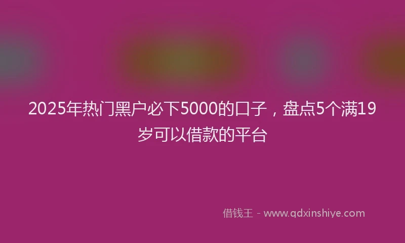 2025年热门黑户必下5000的口子，盘点5个满19岁可以借款的平台