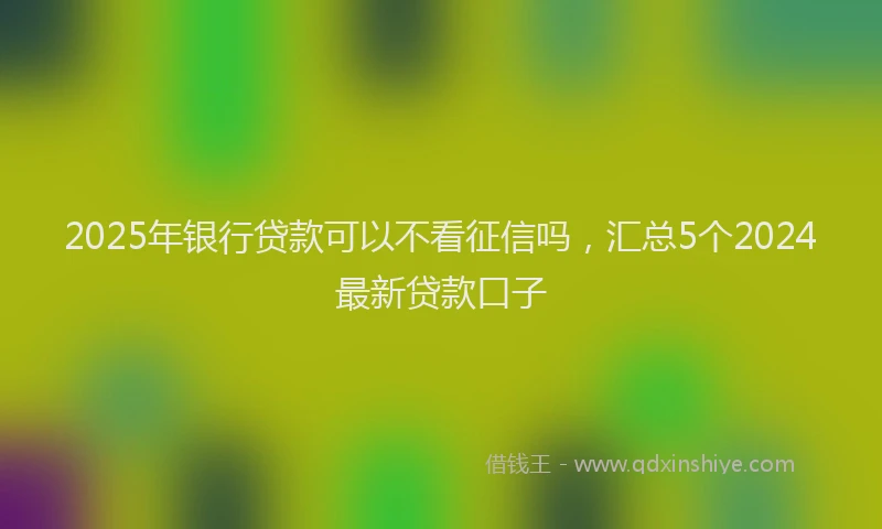 2025年银行贷款可以不看征信吗，汇总5个2024最新贷款口子