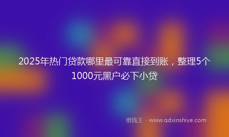 2025年热门贷款哪里最可靠直接到账，整理5个1000元黑户必下小贷