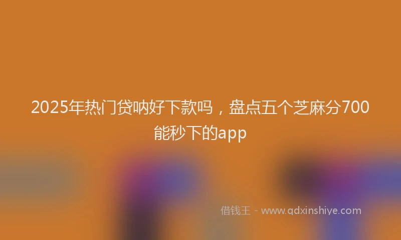 2025年热门贷呐好下款吗，盘点五个芝麻分700能秒下的app