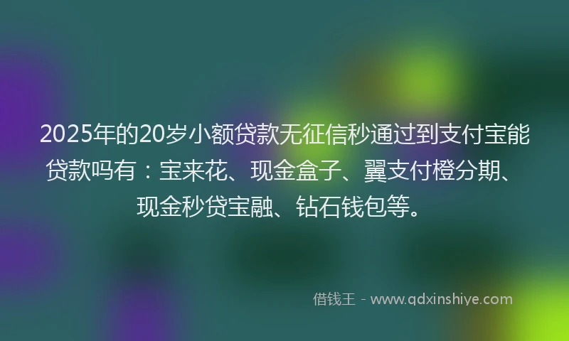 2025年的20岁小额贷款无征信秒通过到支付宝能贷款吗有：宝来花、现金盒子、翼支付橙分期、现金秒贷宝融、钻石钱包等。