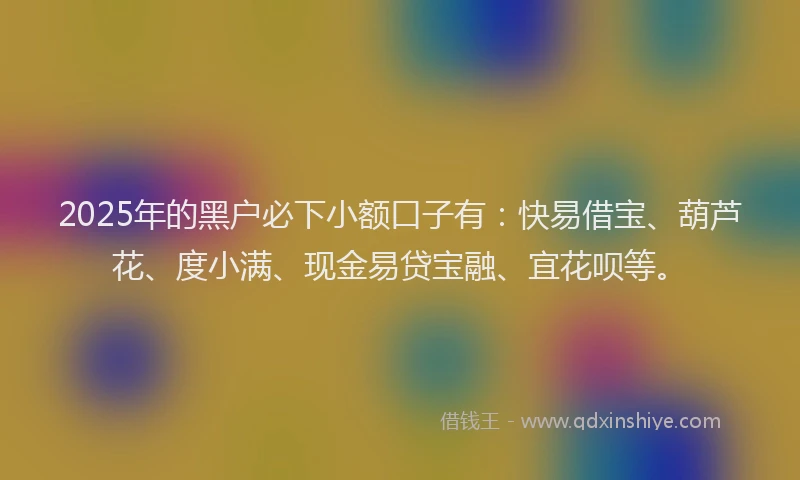 2025年的黑户必下小额口子有：快易借宝、葫芦花、度小满、现金易贷宝融、宜花呗等。