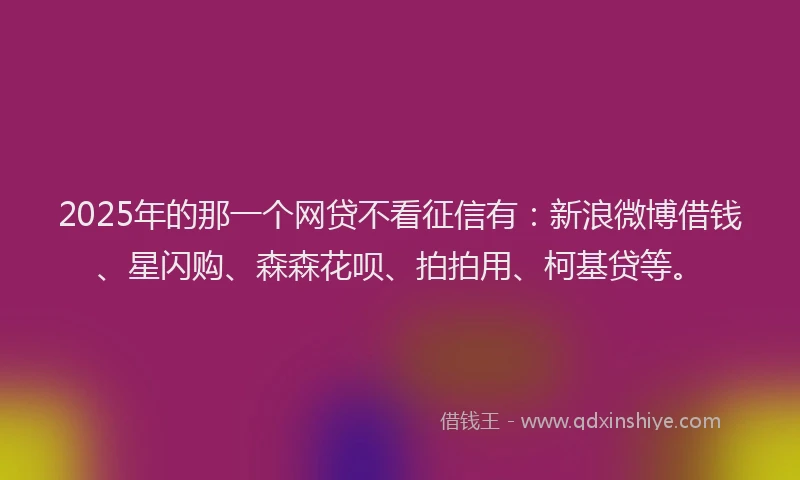 2025年的那一个网贷不看征信有：新浪微博借钱、星闪购、森森花呗、拍拍用、柯基贷等。